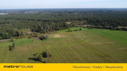 0,3 ha działka rolna, wkrótce z WZ, gm. Poświętne
