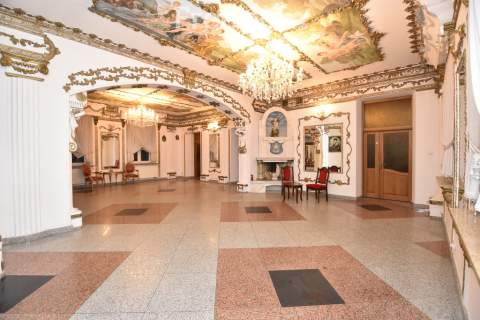 Pałac Tarnowskich zabytkowy kompleks hotelowy z SPA 1,36 ha
