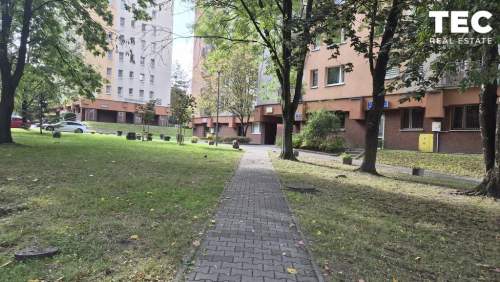 3-pokojowe mieszkanie z balkonem   Katowice os. Paderewskiego