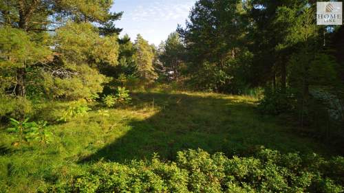 Działka rekreacyjna z dostępem do Jeziora Kalwa