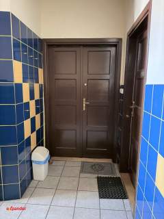 Apartament w Śródmieściu 150m od III Aleii