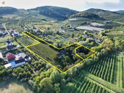 Duża działka z domem Czarny Potok 8700 m2, sad i potok