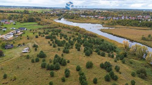 Bezpośrednia linia brzegowa