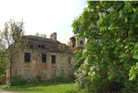 Dom/Pałac obiekt zabytkowy, wybudowany w 1782r