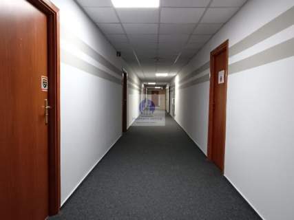 Śródmieście lokal biurowy 31 m2 do wynajęcia