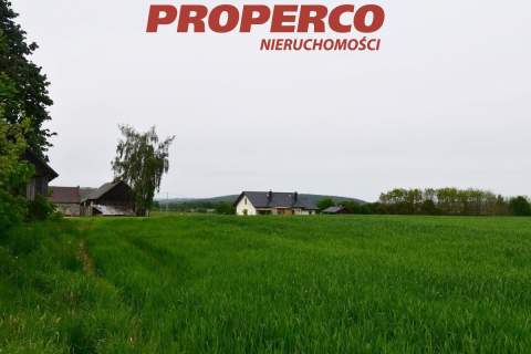 Działka, pow. 33100 m2, Jeleniów, Nowa Słupia