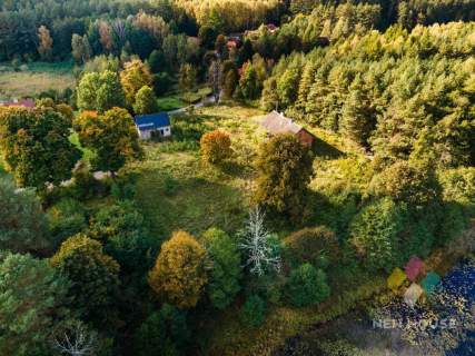 Dłużki, siedlisko nad jez. Dłużek