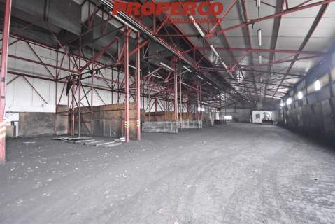 Hala 1600m2 , Czarnów, Kielce