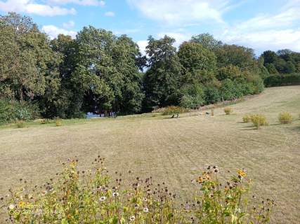 Działka z WZ, linią brzegową jeziora i winnicą