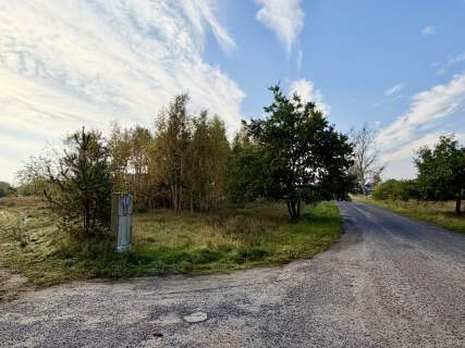 Miękowo Duża działka przy lesie 3 980 m 796 000 zł