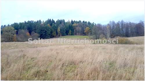 80 ha pod Hodowlę i Fotowoltaikę gmina Świętajno