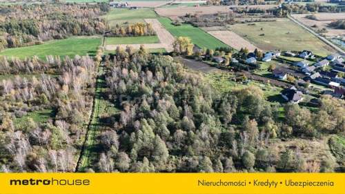 4 działki 3200 m Żytnia gm. Siedlce