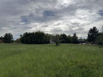 Działka inwestycyjna na sprzedaż, 12000 m2, Słupca