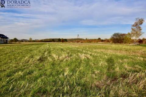 Działka rolno-budowlana 60 ar 6 ar budowlane z prądem - Ryczów,