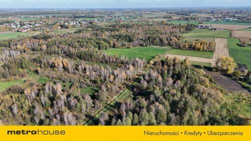 4 działki 3200 m Żytnia gm. Siedlce