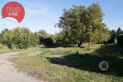 2 działki na ul. Sulęcińskiej, możliwy płaski dach