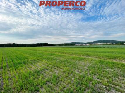 Działka 1500m2, Piotrowiec gm.Łopuszno