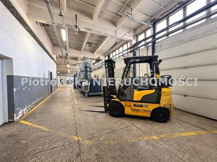 Magazyn do wynajęcia, 1154,5 m2, Sieradz
