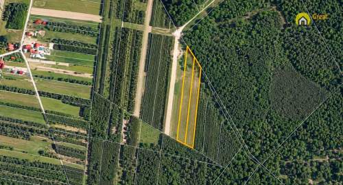3 Działki rolne Szczeka gm. Rytwiany 2,19 ha