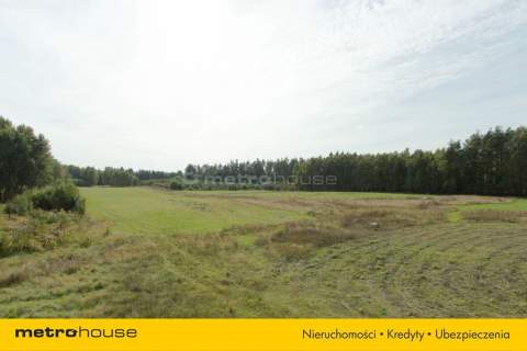 Leśna działka w kompleksie, pow. 1609 m 
