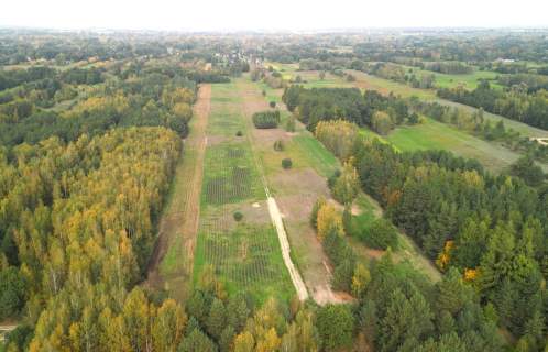Działka budowlana 1020m2, Wilków Polski