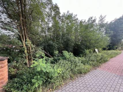 Wola Chodkowska gm. Kozienice - działka budowlana.