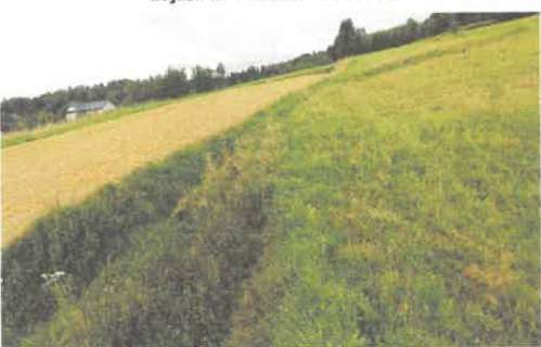 Działka rolna na sprzedaż, 5600 m2, Barycz
