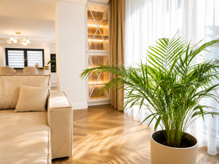 Wynajmę Apartament 90m2 Ogródek 140 m2 Piwnica 20m2