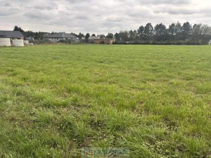 Działka budowlano-zagrodowa  Teodorów, gm. Skórzec
