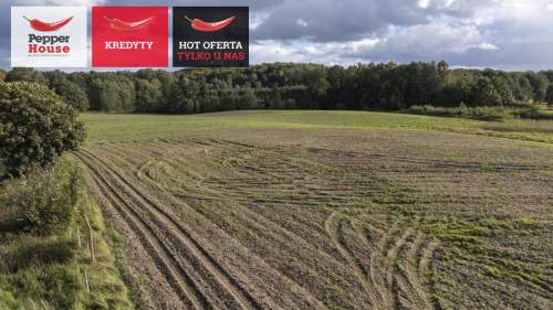 Działka budowlana na sprzedaż, 20901 m2, Strużyna