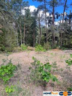 Dom letniskowy Brda Łosie koło Radzymina 1148m2