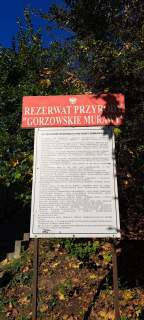 Mieszkanie 65m2. 3pok I piętro w budunku IVp sprzedam zamien