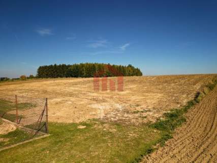Działki siedliskowe,2 km Sędziszów Młp, Full MEDIA