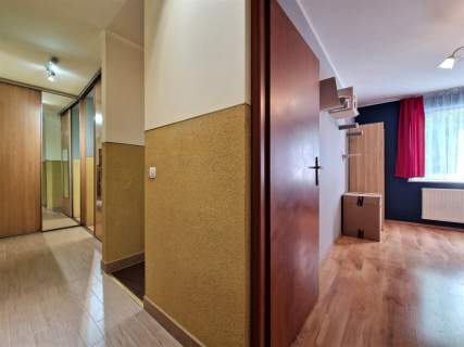 2 pok, ok. 52 m2, ul. Zalesie, Ruczaj