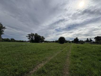 Działka inwestycyjna na sprzedaż, 12000 m2, Słupca