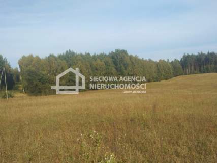 Niepowtarzalny dom w otoczeniu lasów.
