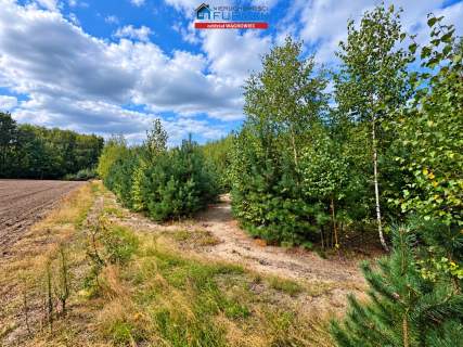 Działka budowlana na sprzedaż, 11100 m2, Lechlin