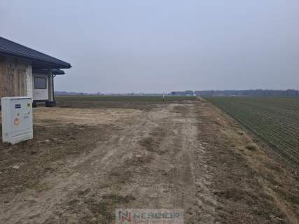 Działka budowlana 1000 m w Boroszkowie