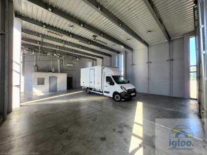 Obiekt Usługowy - Wynajem - Kielce - Białogon - 500m2