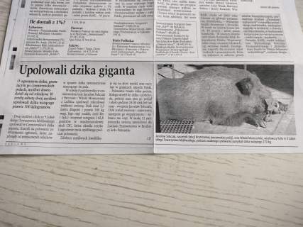 Posesja bez sąsiadów, poza systemem ,na uboczu , kryjówka