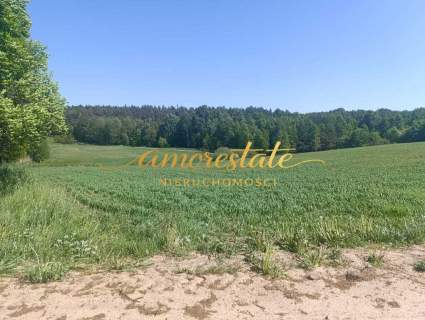 Malownicza działka z WZ - Nowa Wieś Przywidzka.