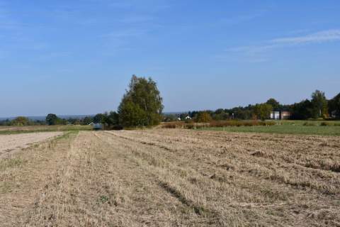Działka rolno-budowlana 43a - Strażów