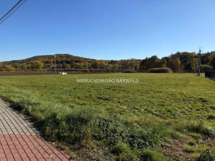 Działka inwestycyjna na sprzedaż, 10008 m2, Kalwaria Zebrzydowska