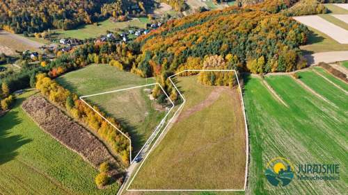 DZIAŁKI WIDOKOWE 2,6 HA OTOCZENIE LASÓW I DOLINEK KRAKOWSKICH...