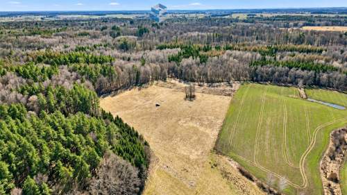 Duże działki pod lasem - Jędrychowo