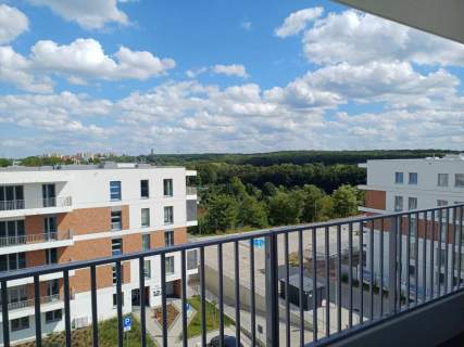 Mieszkanie do wynajęcia, 45 m2, Chorzów