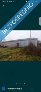 Wynajmę dom gospodarstwo 58 arów