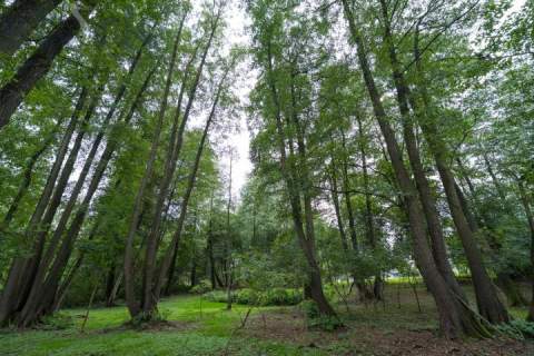 Prywatny park z możliwościa zabudowy/9400m/dostęp do rzeki Zw
