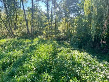 Działka letniskowa WZ Grabniak Urszulin 3002m2