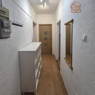 2 pokoje, pet-friendly - Grabiszyńska 220